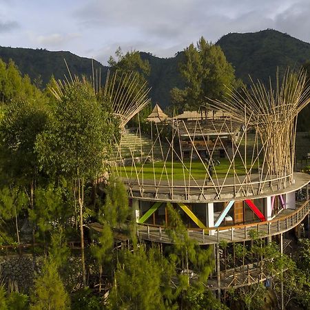 Pagupon Bromo Budget Lodge المظهر الخارجي الصورة