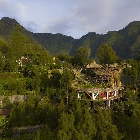 Pagupon Bromo Budget Lodge المظهر الخارجي الصورة