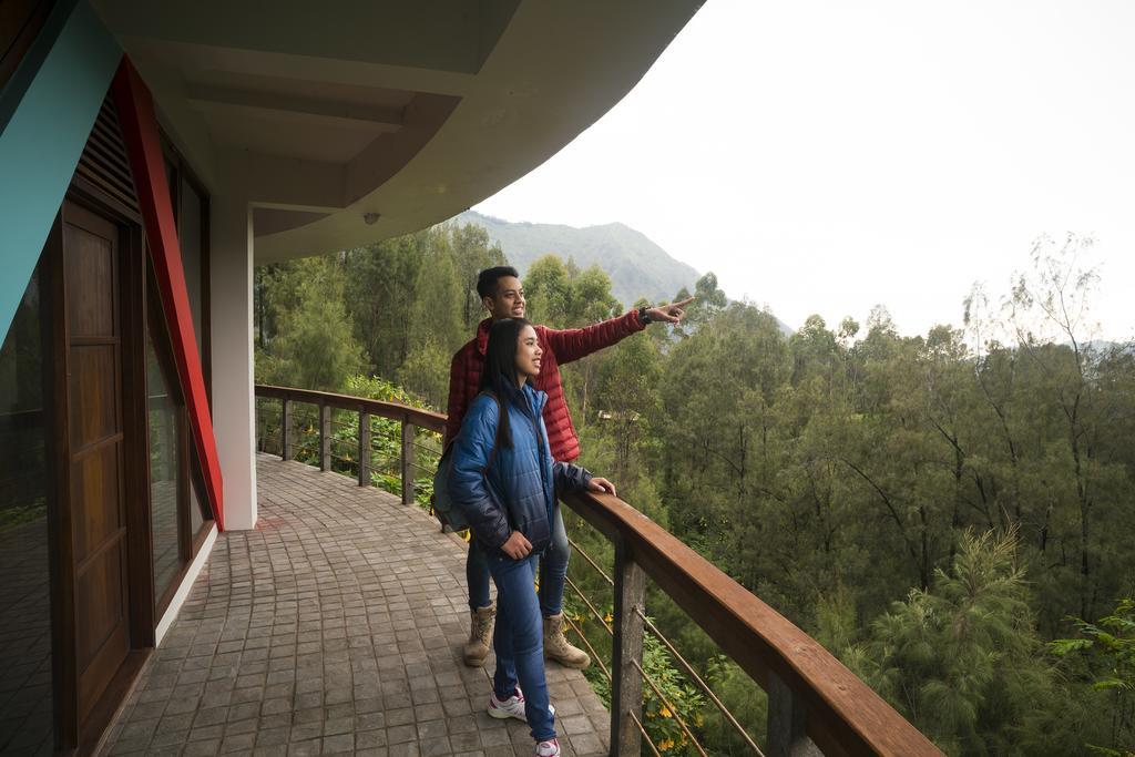 Pagupon Bromo Budget Lodge المظهر الخارجي الصورة