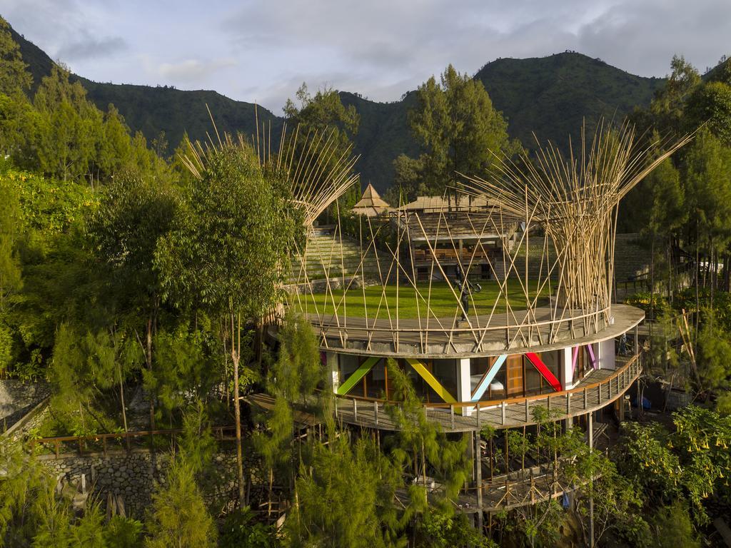 Pagupon Bromo Budget Lodge المظهر الخارجي الصورة