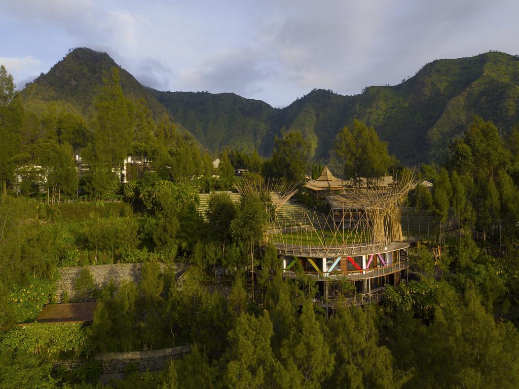 Pagupon Bromo Budget Lodge المظهر الخارجي الصورة