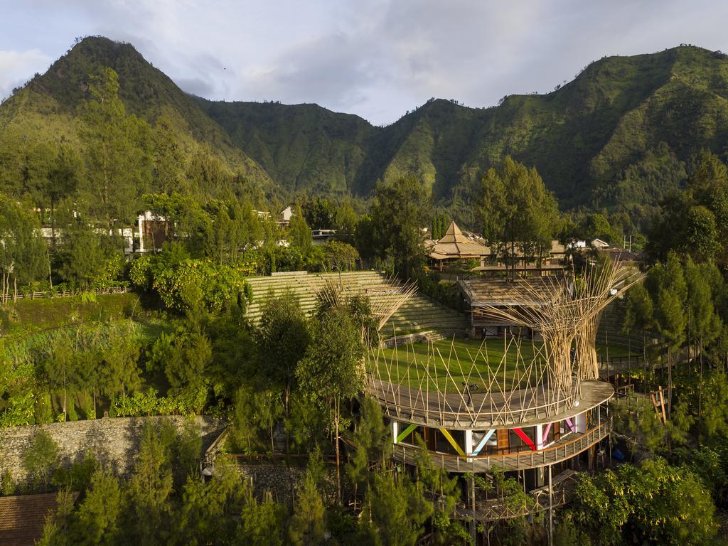 Pagupon Bromo Budget Lodge المظهر الخارجي الصورة